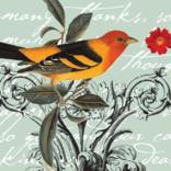 POTLUCK PRESS LLC Card - Many Thanks,Bird POTLUCK PRESS LLC Card - Many Thanks,Bird