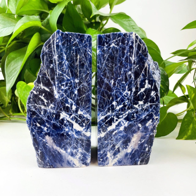 Rock Paradise Bookends - Sodalite SM
