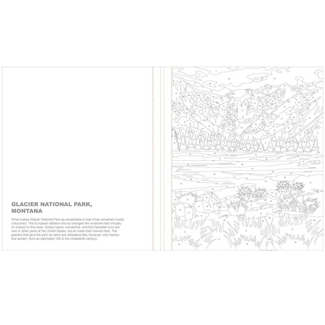 SIMON AND SCHUSTER NATIONAL PARKS COLOR BY NUMBER