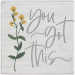 Sincere Surroundings PLQ-YOU GOT THIS