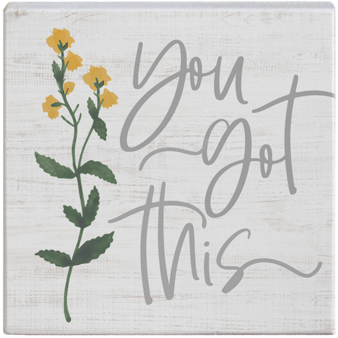 Sincere Surroundings PLQ-YOU GOT THIS