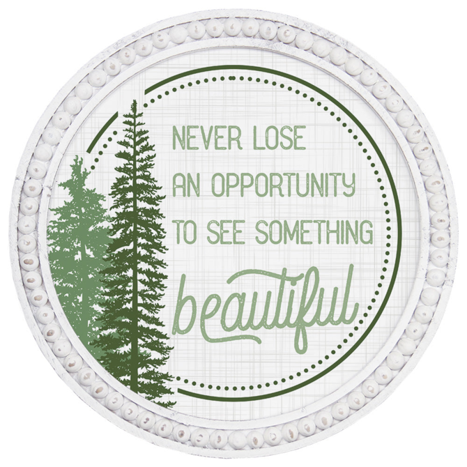 Sincere Surroundings PLQ-NEVER LOSE AN OPPORTUNITY RND