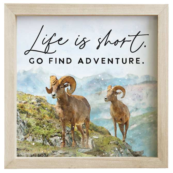 Sincere Surroundings WALL-BIGHORNS FIND ADVENTURE