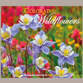 Skyline Press Book - Colorado Wildflowers
