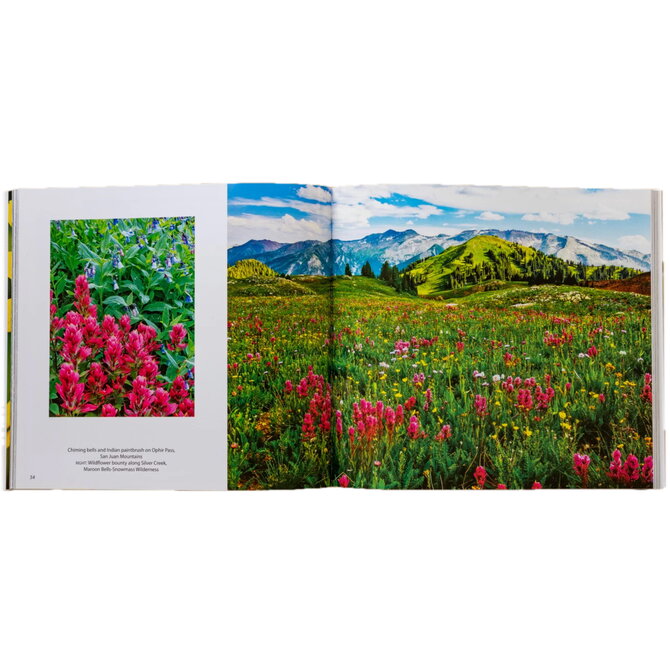 Skyline Press Book - Colorado Wildflowers