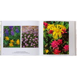 Skyline Press Book - Colorado Wildflowers