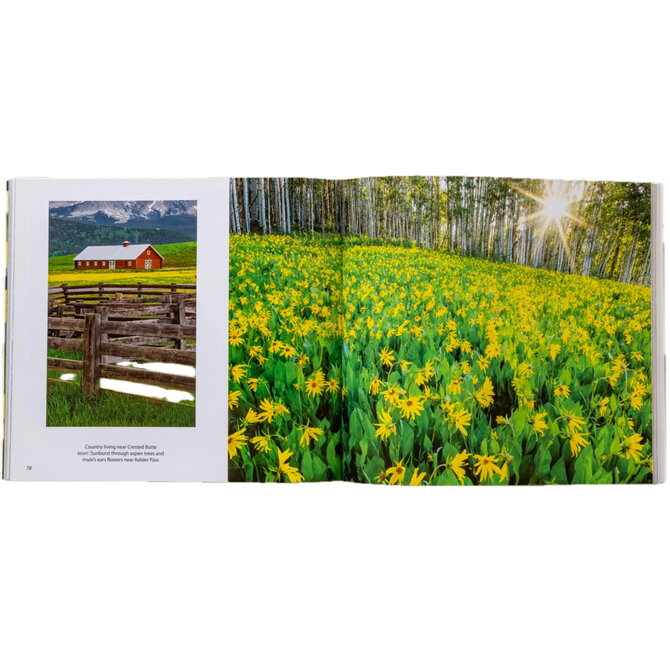 Skyline Press Book - Colorado Wildflowers