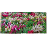 Skyline Press Book - Colorado Wildflowers