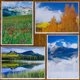 Skyline Press Cards - Colorado 4 Seasons