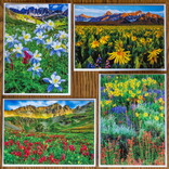 Skyline Press Cards - Colorado Wildflowers