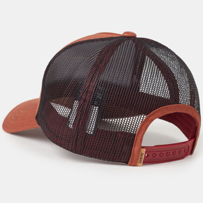 Tentree Cap - Forest Sun Altitude (Sequoia/Blue Haze)