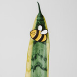 Eufolia PLANT MAGNET-BEE