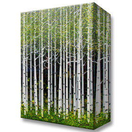 Meissenburg Studios *SUMMER ASPEN/NANCY SEILER Meissenburg Studios *SUMMER ASPEN/NANCY SEILER