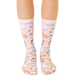 Living Royal Socks - Cat Breeds