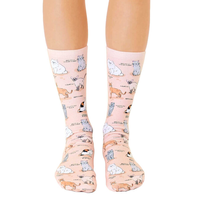 Living Royal SOCKS-CAT BREEDS
