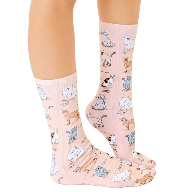 Living Royal SOCKS-CAT BREEDS