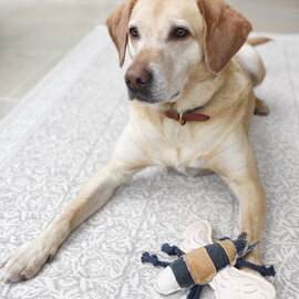 SOPHIE ALLPORT Dog Toy - Bee