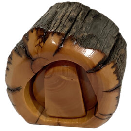 BRISTLE CONE PINE INC. Box - 3" 1 Bristlecone Pine