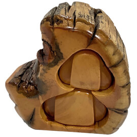 BRISTLE CONE PINE INC. Box - 3" 2 Bristlecone Pine