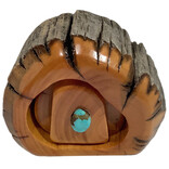 BRISTLE CONE PINE INC. Box - 3" 1 Bristlecone Pine w/ Turquoise