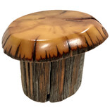 BRISTLE CONE PINE INC. Box - Mushroom Small Bristlecone Pine