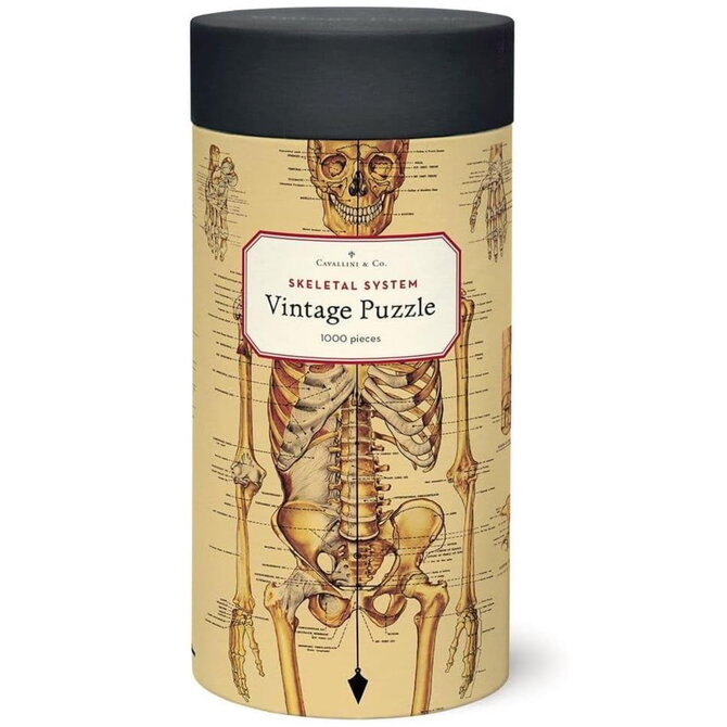 Cavallini Papers/co Inc Puzzle - Skeletal System