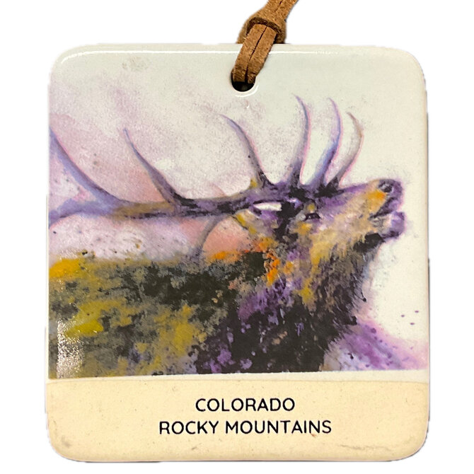 Demdaco/misc Product MAG/ORN-ELK CO RM