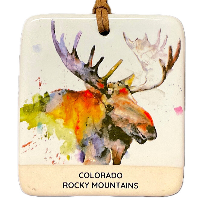 Demdaco/misc Product MAG/ORN-MOOSE CO RM