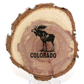 SPARE CHANGE MAGNETS Magnet - Wood Moose