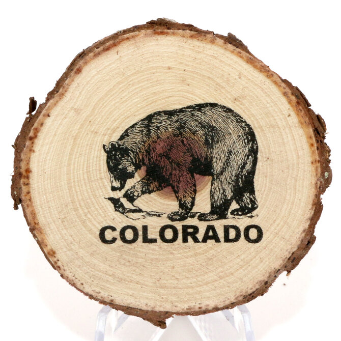 SPARE CHANGE MAGNETS MAG-WD BEAR