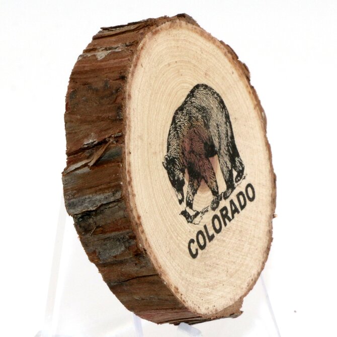 SPARE CHANGE MAGNETS Magnet - Wood Bear