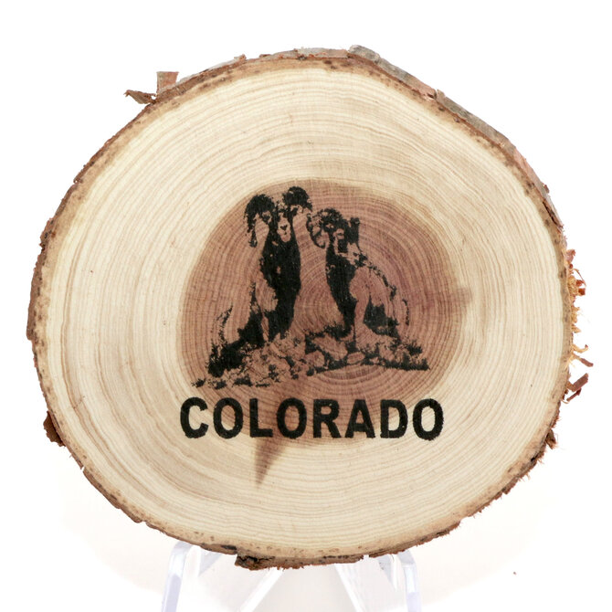 SPARE CHANGE MAGNETS Magnet - Wood Bighorn