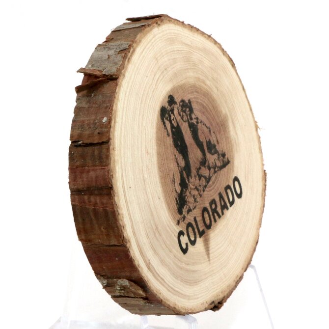 SPARE CHANGE MAGNETS Magnet - Wood Bighorn