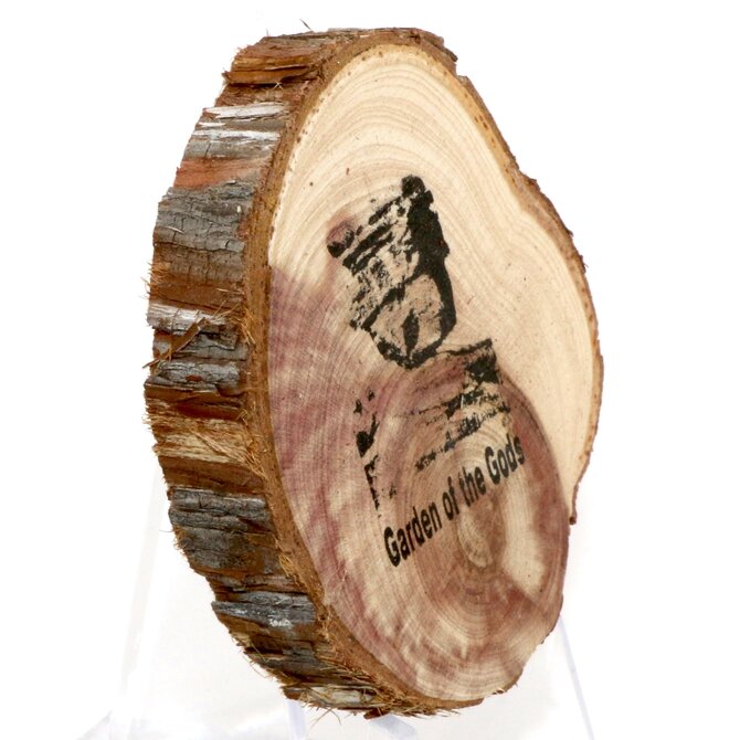 SPARE CHANGE MAGNETS Magnet - Wood Garden of the Gods