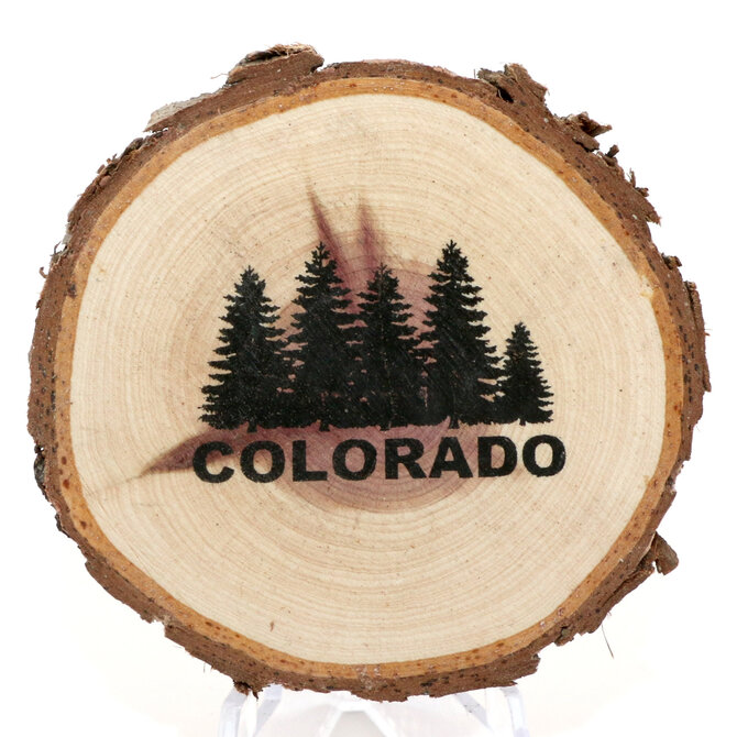 SPARE CHANGE MAGNETS MAG-WD PINE TREE