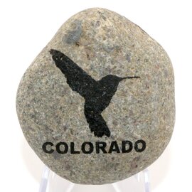 SPARE CHANGE MAGNETS Magnet - Round Rock Hummingbird