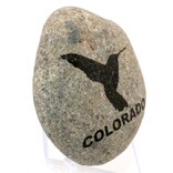 SPARE CHANGE MAGNETS Magnet - Round Rock Hummingbird