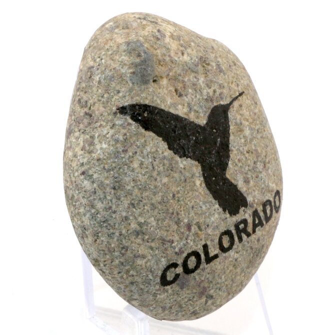 SPARE CHANGE MAGNETS Magnet - Round Rock Hummingbird