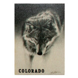 Daydream Hq Magnet - Prowling Wolf