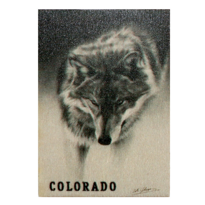 Daydream Hq Magnet - Prowling Wolf