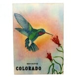 Daydream Hq Magnet - Broad Billed Hummer Colorado