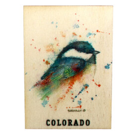 Daydream Hq Magnet - Little Blackcap Bird Colorado