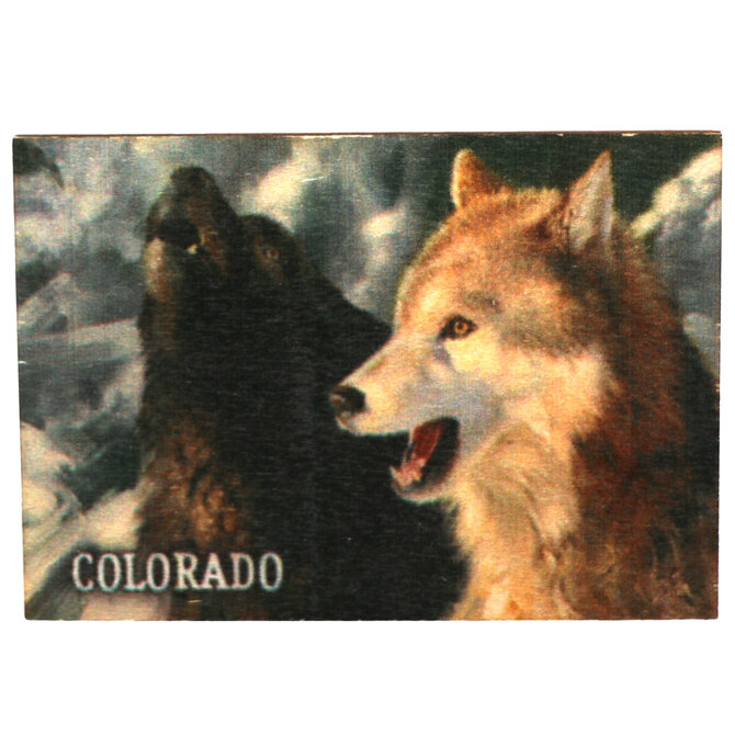Daydream Hq Magnet - Wolves Singing/Harmony Colorado
