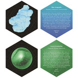 HACHETTE BOOK GROUP *The Crystal Grid Deck