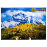 LAURIE LAMBES GREAT STUFF Magnet - Gold Aspens Colorado