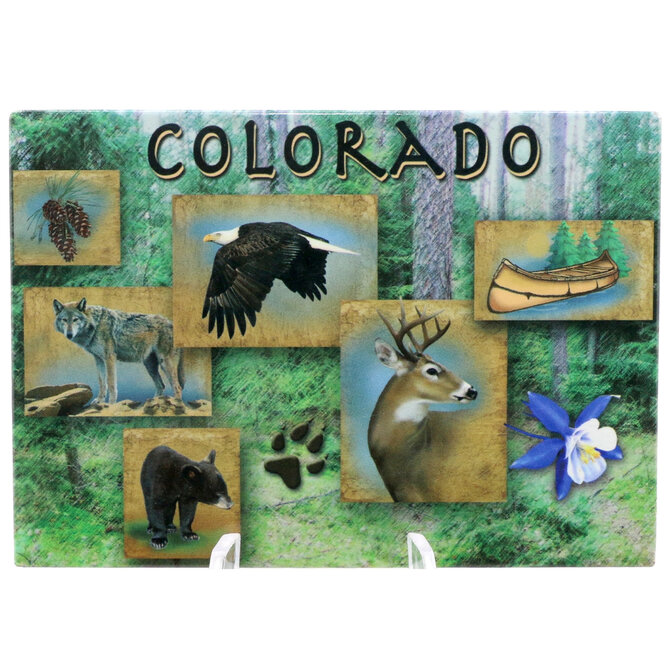 Sanborn Souvenir Co. Inc. Magnet - Wildlife Colorado