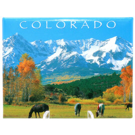 Magnet - San Juan Horses Colorado