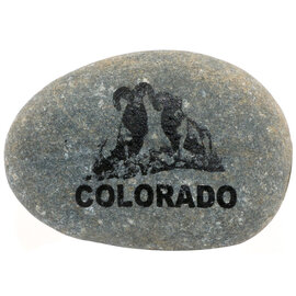 SPARE CHANGE MAGNETS Magnet - Round Rock Bighorn Colorado