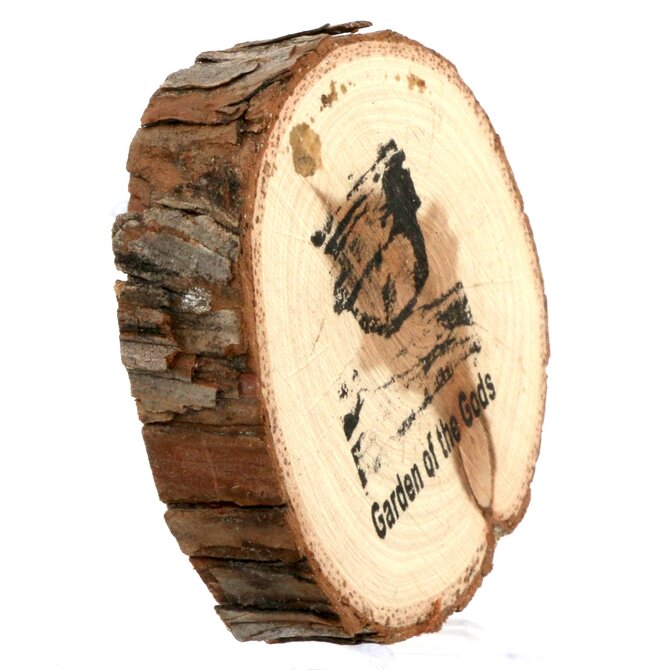 SPARE CHANGE MAGNETS Magnet - Wood Balanced Rock