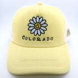 SALT CREEK INC CAP-Daisy Colorado Lemonade
